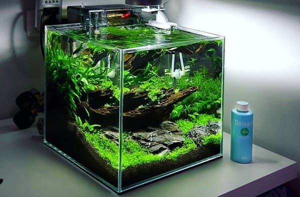 Những vị trí nên "KHÔNG" nên đặt bể cá cảnh trong nhà