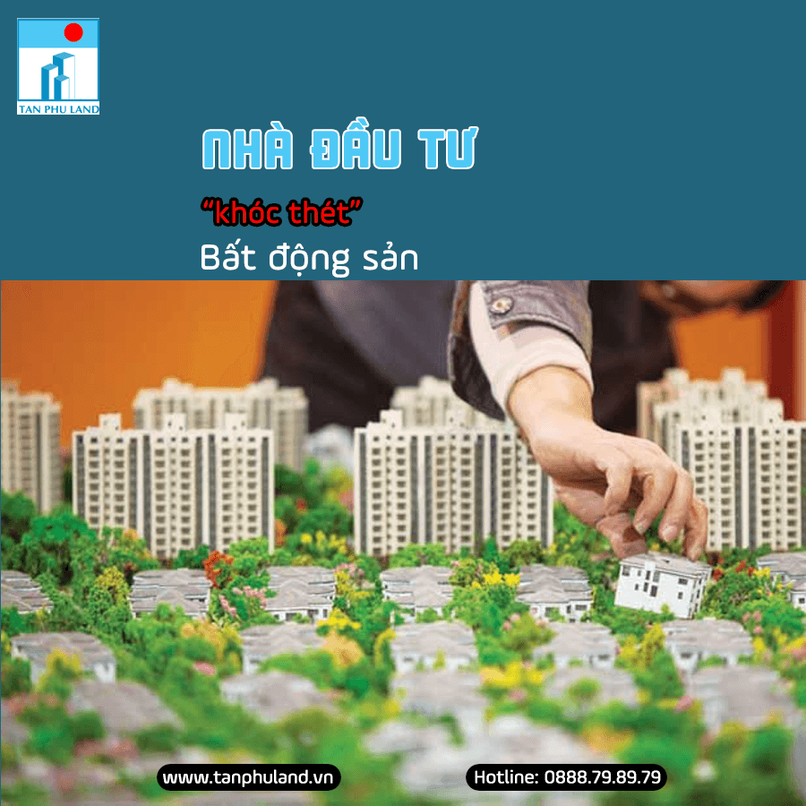 Nhà đầu tư "khóc thét" và những lời động viên từ chuyên gia