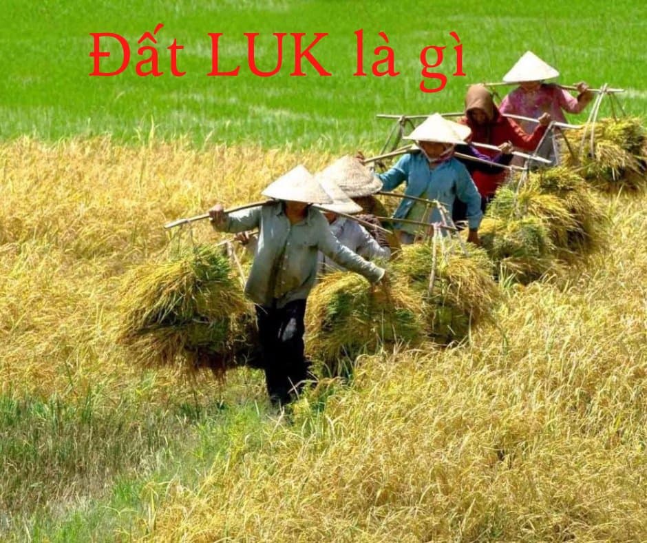 Đất LUK là gì, có chuyển lên đất ở được không?