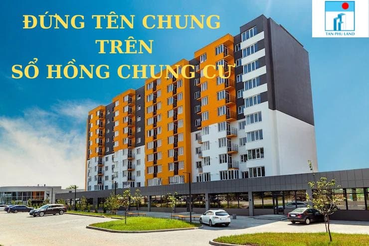 Đứng tên cả bố, mẹ, con trên sổ hồng chung cư được không?