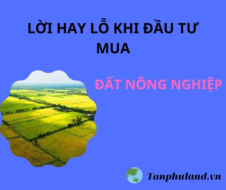 Đầu tư mua đất nông nghiệp để lên thổ cư: Lời hay lỗ?