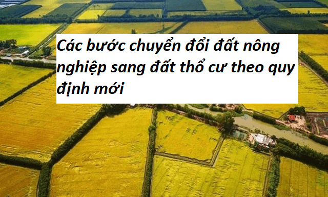 Các bước chuyển đổi đất nông nghiệp sang đất thổ cư theo quy định mới